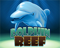 Dolphin Reef