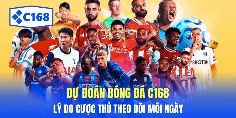 Nội dung phân tích bóng đá cập nhật rõ ràng mỗi ngày
